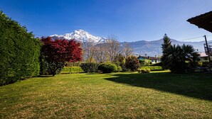A grassy yard with a mountain in the background.