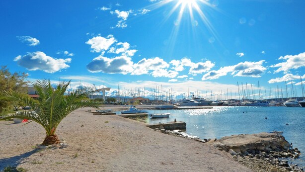 Ein Strand mit einer Palme, Booten und blauem Himmel.