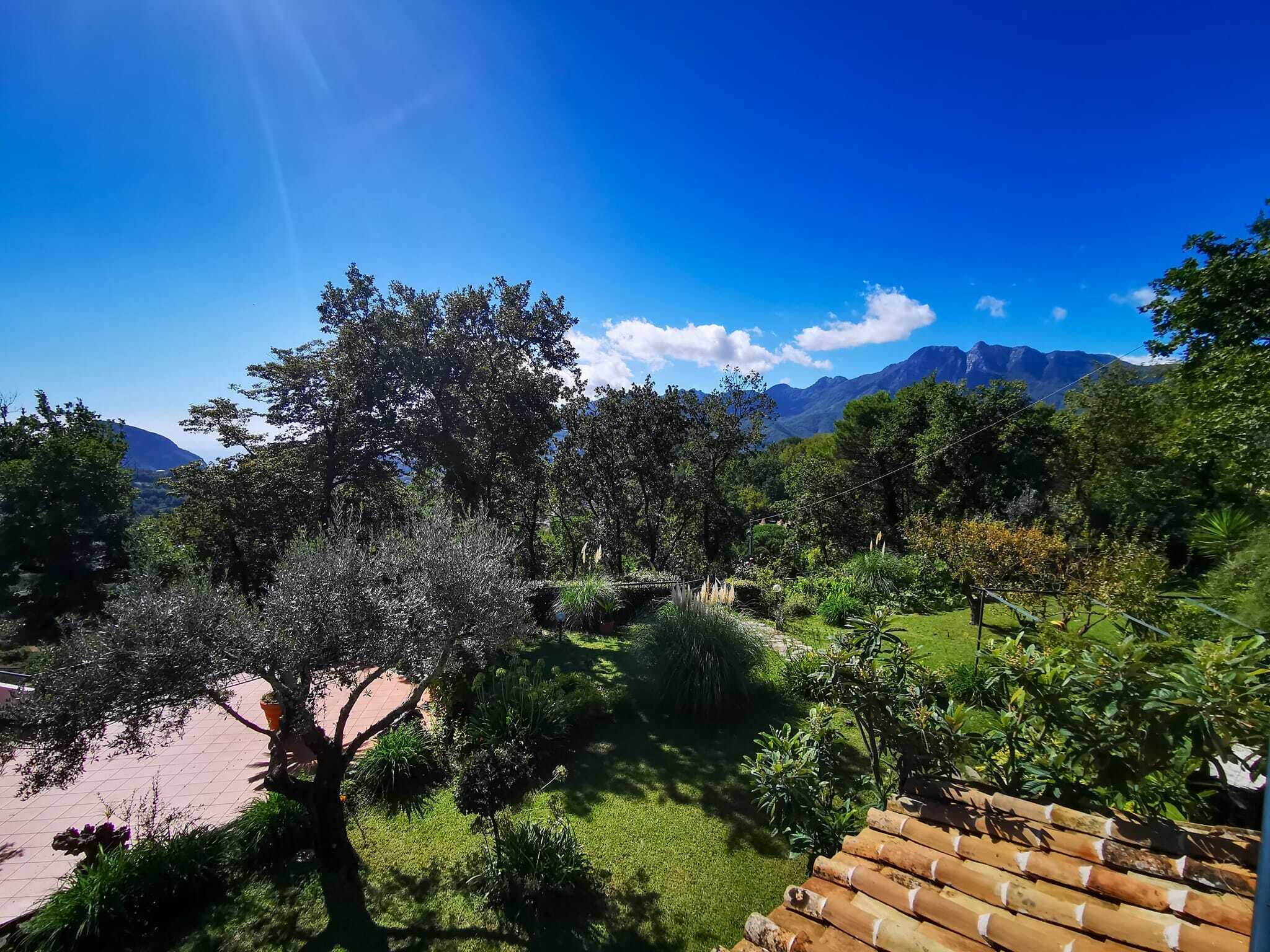 Overnatningsstedets område