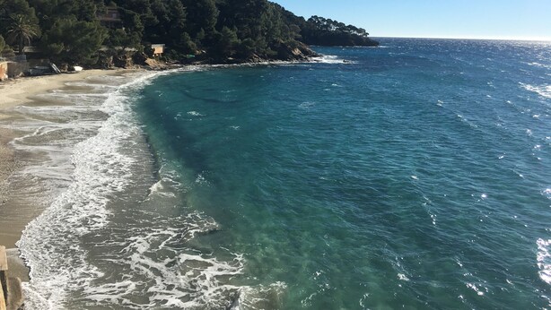 Ein Küstenstrand mit klarem türkisblauem Wasser, sandigem Ufer und einer bewaldeten Hügelslandschaft.