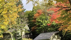 A rustic wooden cabin with a sloped roof, surrounded by a forest with autumn foliage. - Heart of Killington location. Pet-friendly! (Killington)