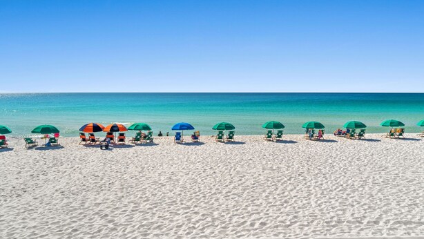 A beach with rows of beach chairs and umbrellas.
