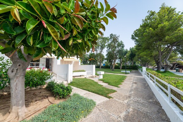 Terrein van de accommodatie