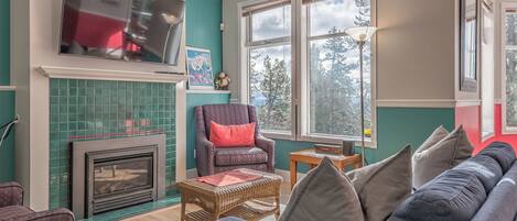 TV, fireplace
