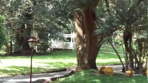 A large stone sphere on grass near a sidewalk. - Coco beach Guanacaste Costa Rica Natural Fun!!!!! (Coco)