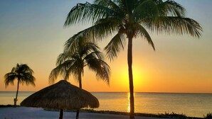 A beach scene with palm trees and a sunset.