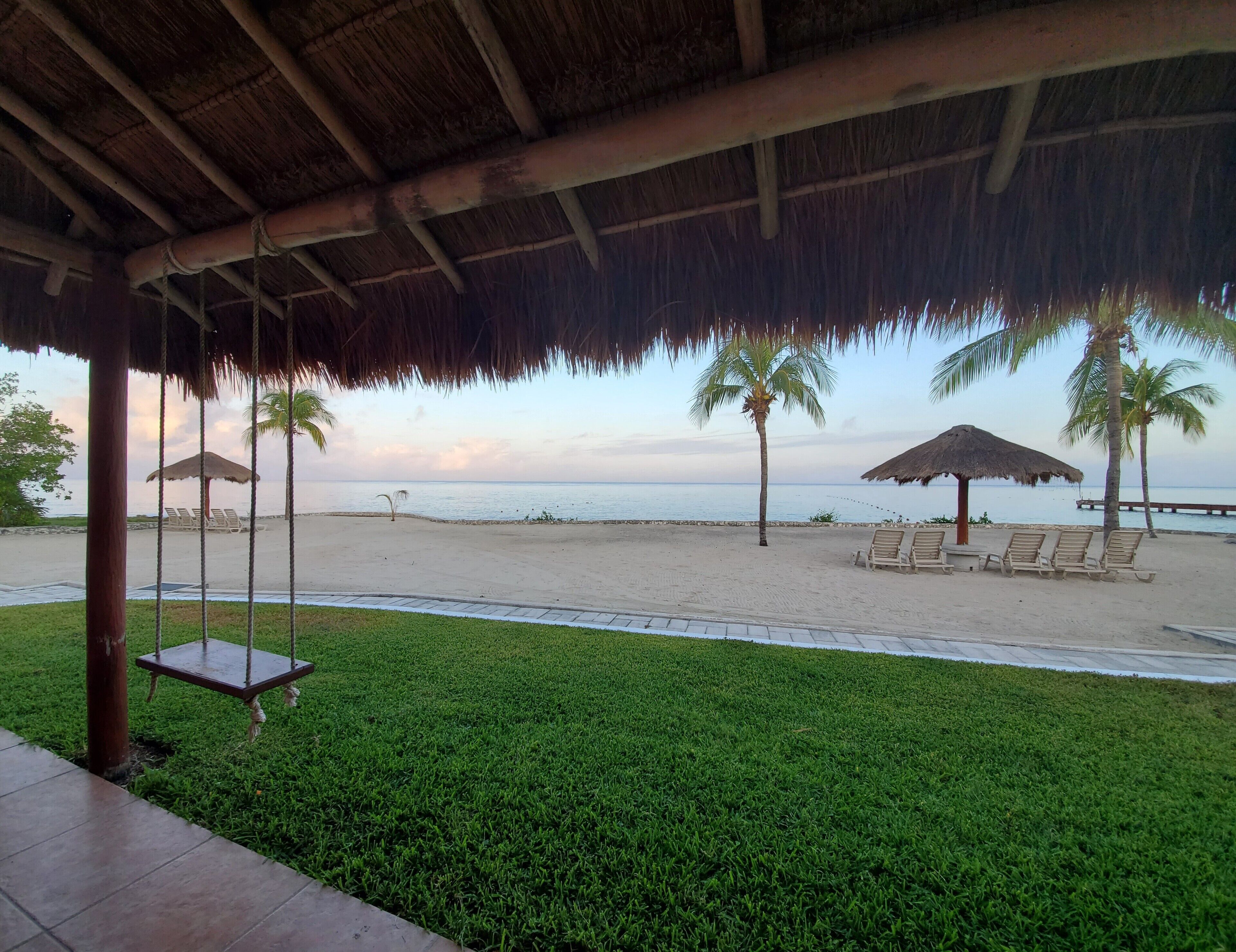 A beach view with a swing, palm trees, and a thatched-roof structure.