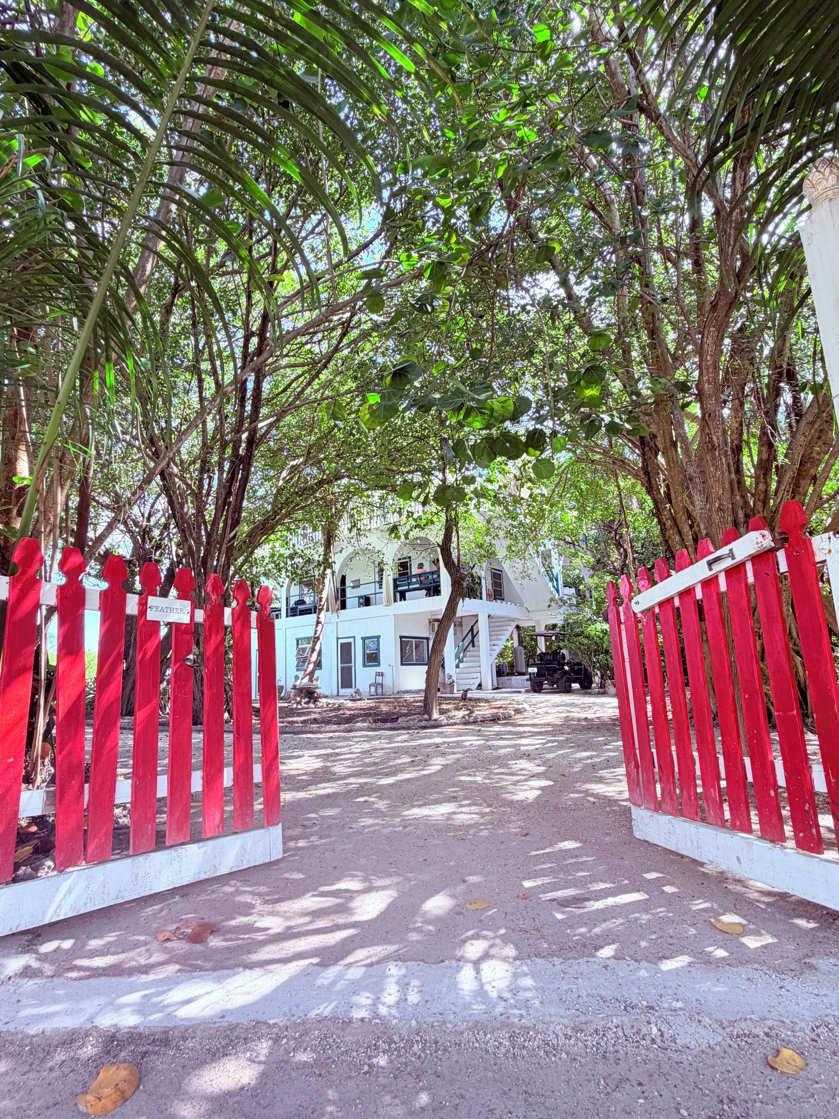Un sentiero conduce a un edificio con facciata bianca, circondato da alberi e una recinzione rossa.