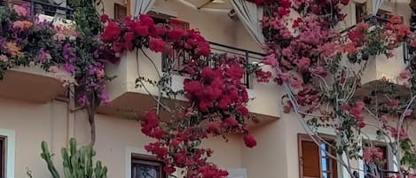 Fachada