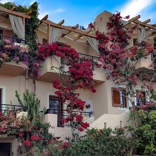 Niki Apartments