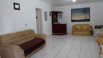 Tv, dvd-afspiller, bøger