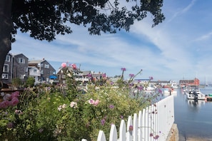 House (Baby Love Shack) | Beach - Baby Love Shack (Salisbury)