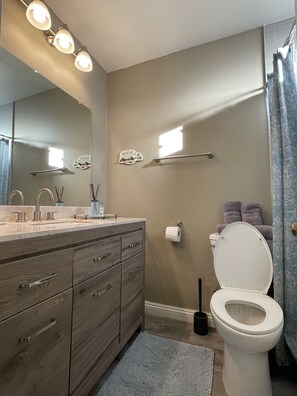 Hair dryer, towels, soap, toilet paper