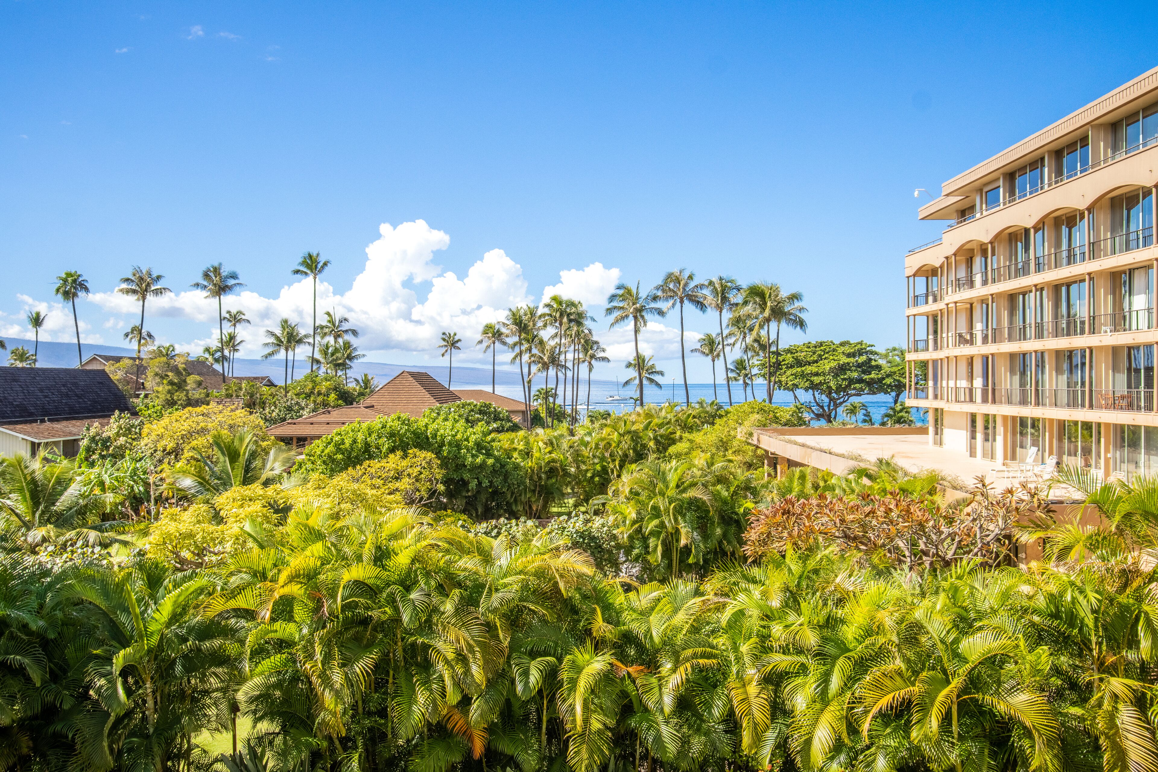 Hotel met uitzicht op palmbomen en een strand.