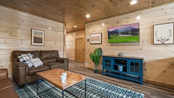 Smart-TV, videospill og bøker