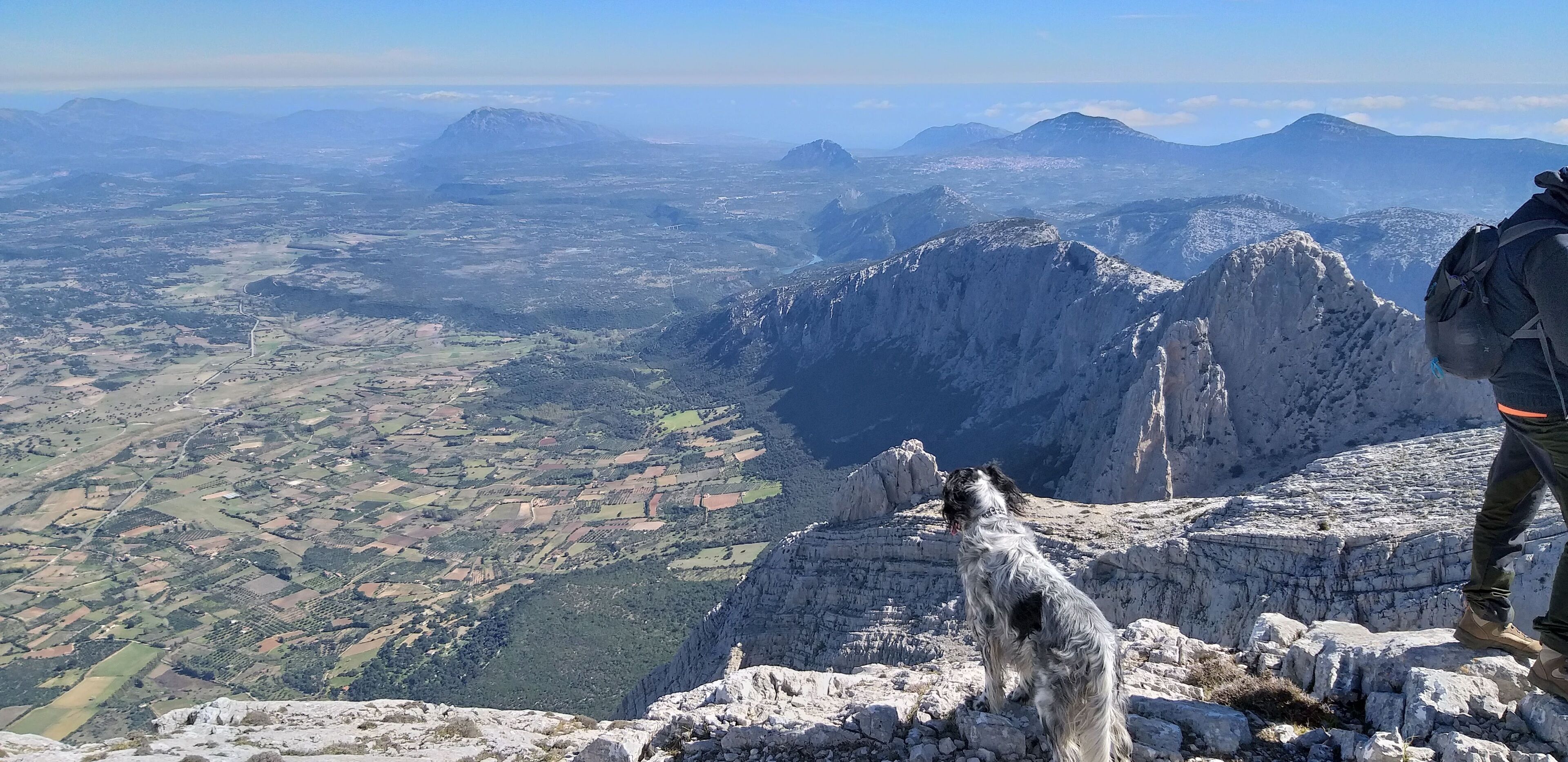 Eine Berglandschaft mit einem Hund und einem Wanderer.