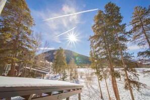 A snowy landscape with a clear sky, trees, and a mountain in the background. - Pines 2167 (Keystone)