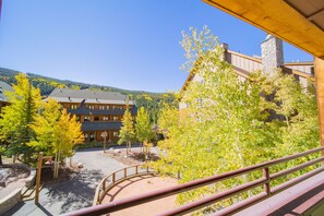 Appart'hôtel, 1 très grand lit et 1 canapé-lit, vue cour intérieure (Buffalo Lodge 8340) | Extérieur