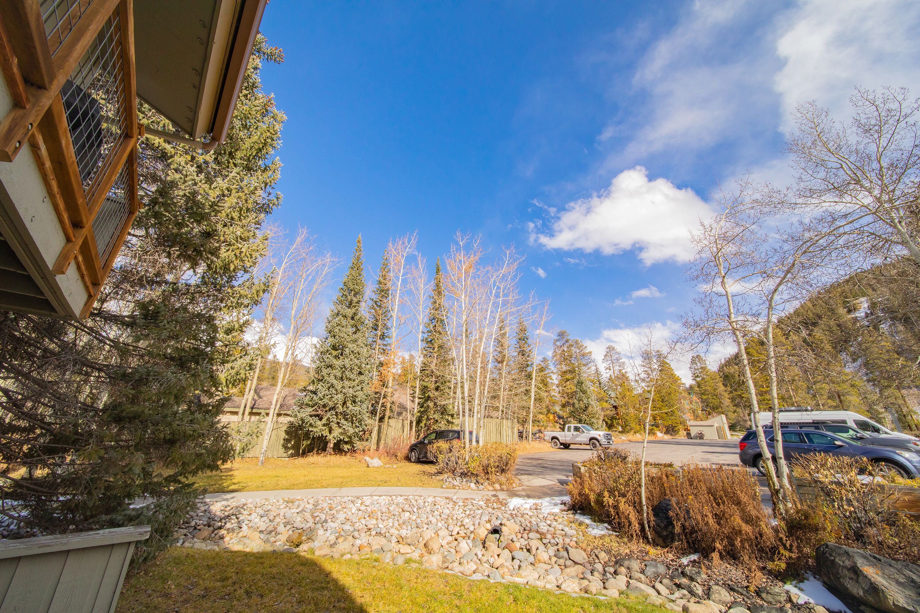 A residential driveway with a stone pathway, parked cars, and a row of evergreen trees.