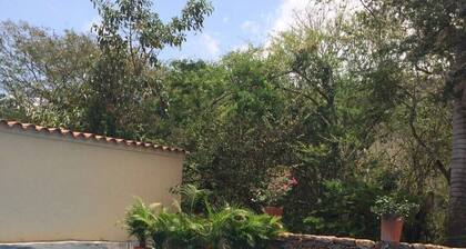 Spacious 3 bed 2 bath Apartment