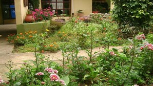 Ein Garten mit verschiedenen Blumen und Pflanzen, eine Steinmauer und ein Gebäude mit Fenster und Tür im Hintergrund.