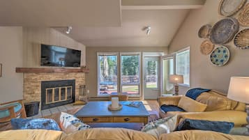 TV, fireplace, books