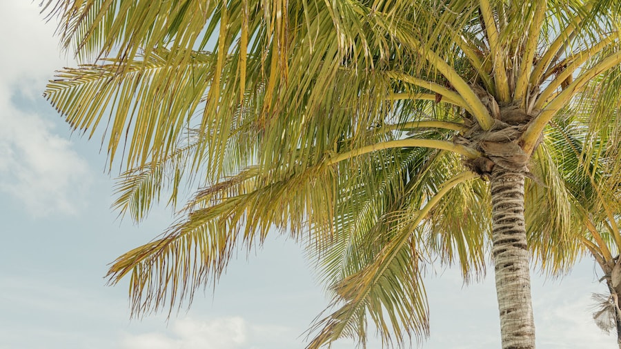 Patina Maldives, Fari Islands