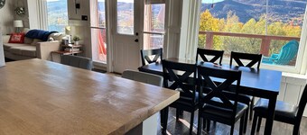 Beautiful 3BR/2BA Rustic Townhome on the Mountain: Bus Route & Wifi