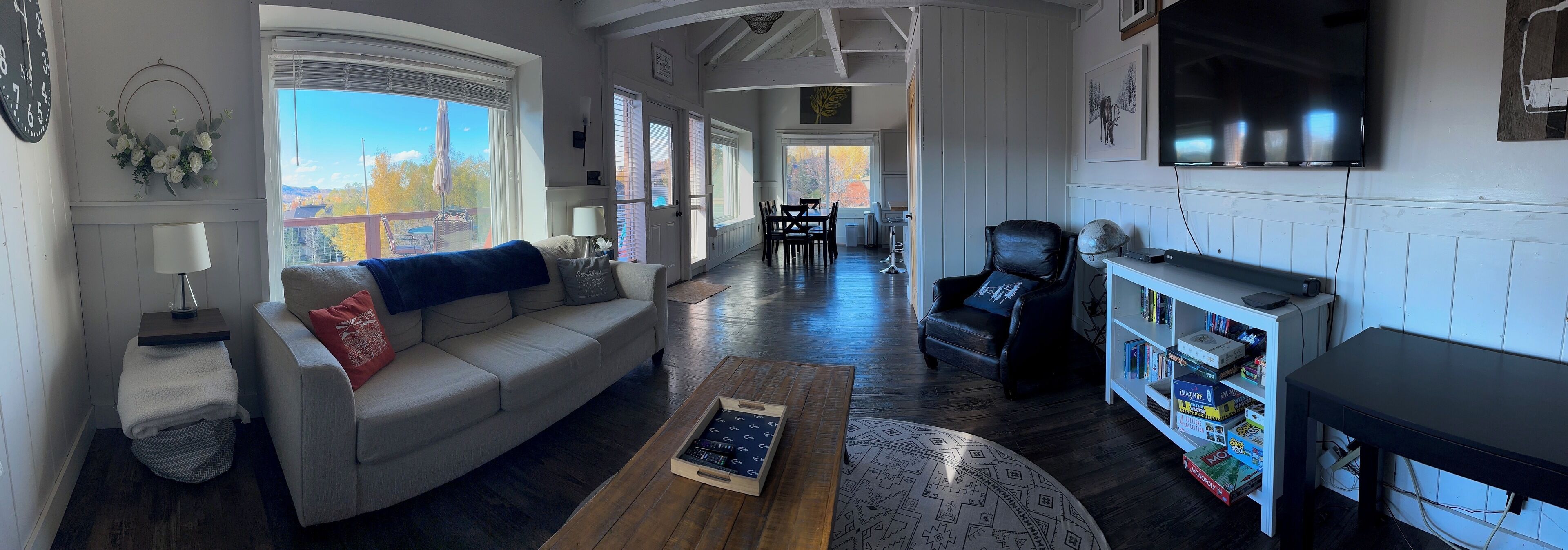 TV connectée, cheminée, lecteur de DVD, livres