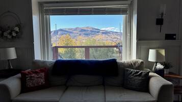 Smart TV, chimenea, reproductor de DVD y libros