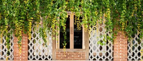 A building with a window partially covered by green vines and yellow flowers.