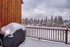 Property grounds - Rock Pond Condo 59 - Ski in Ski out Rock Pond Condo at Saddleback (Rangeley)