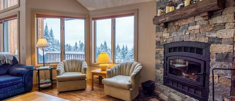 Télévision, cheminée, lecteur de DVD