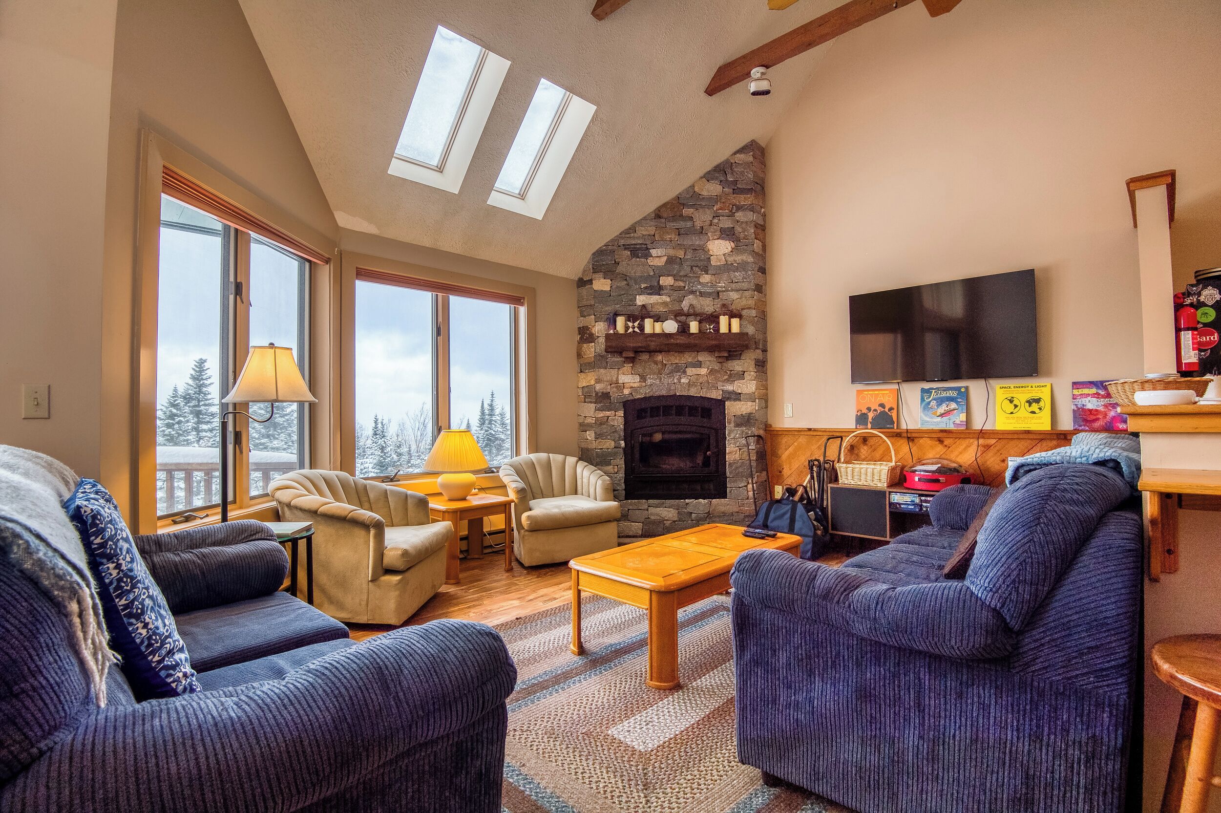 TV, fireplace, DVD player