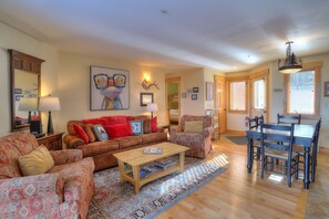 TV, fireplace, DVD player, books