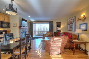 TV, fireplace, DVD player, books