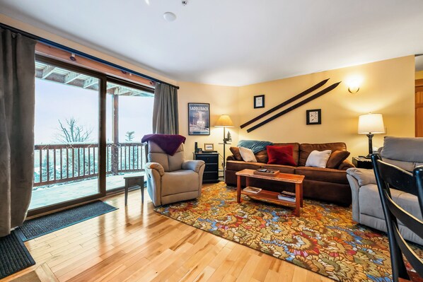 TV, fireplace, DVD player, books