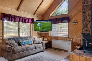 Smart-TV, Kamin, DVD-Player, Bücher