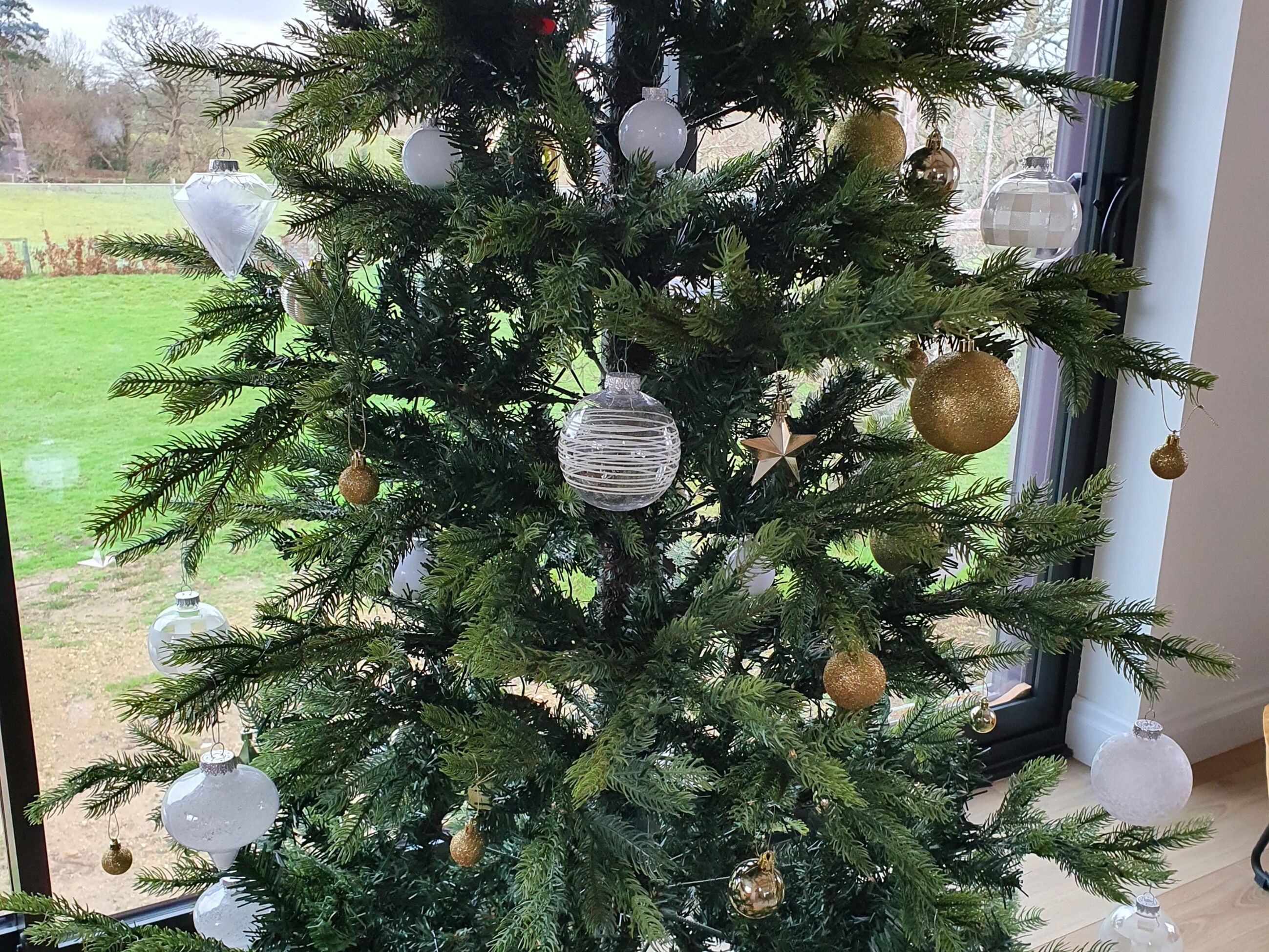 A Christmas tree with various ornaments, positioned near a window overlooking a grassy area.