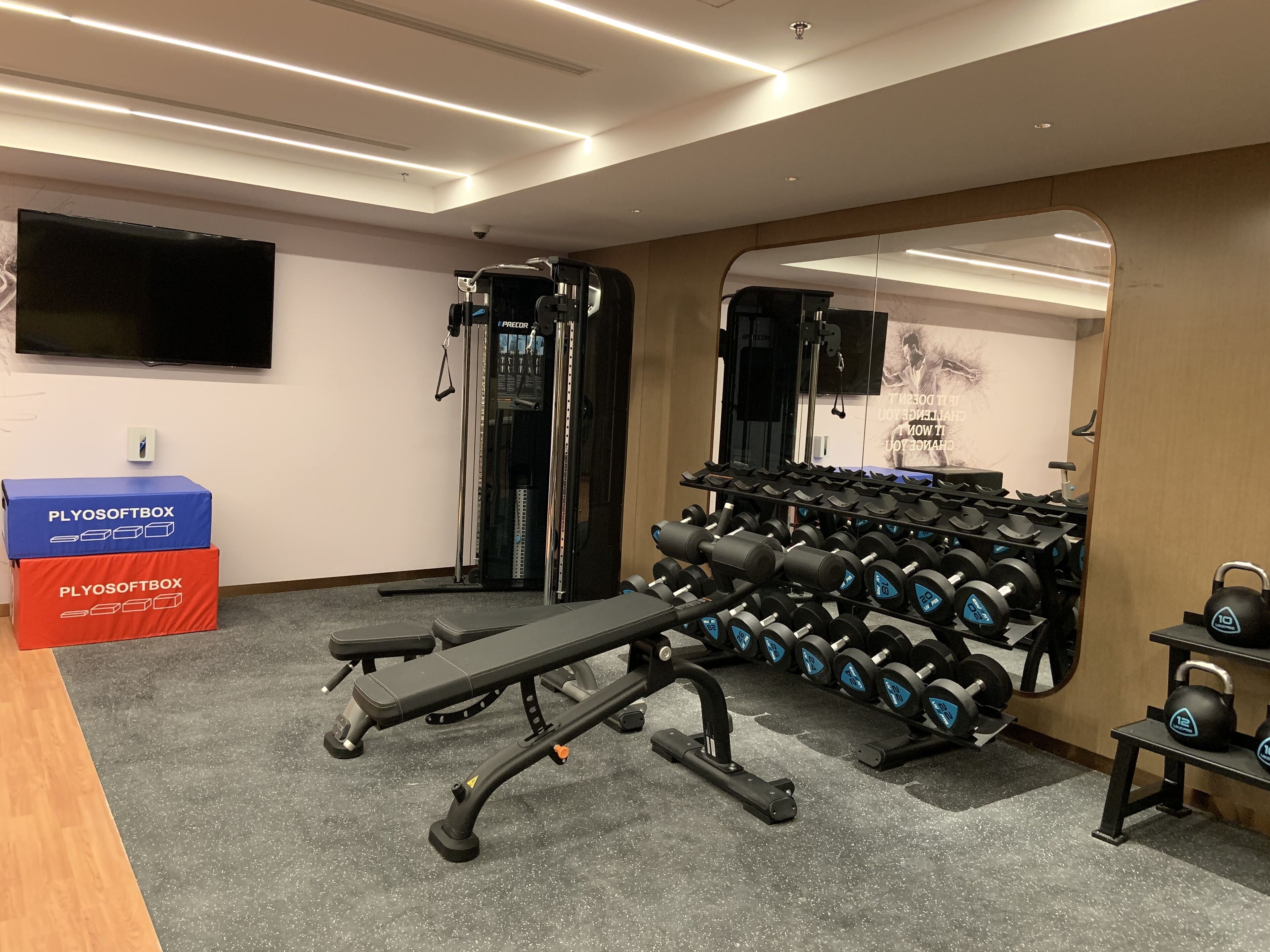 A gym with a bench press, dumbbells, and a squat rack.