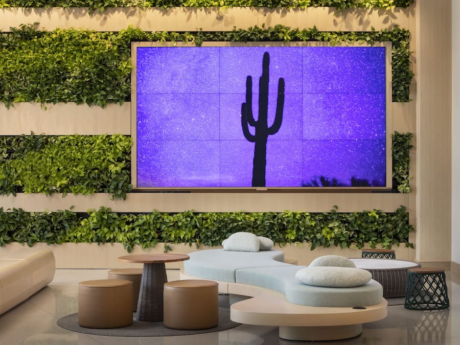 Een moderne loungehoek met een grote, aan de muur bevestigde televisie waarop een cactussilhouet te zien is, omringd door groen blad en moderne zitplaatsen.