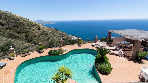 Ein Pool mit Meerblick, umgeben von Liegestühlen und Kübelpflanzen.
