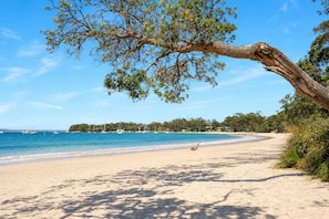 Una playa con cielos despejados, agua tranquila y un árbol en primer plano.
