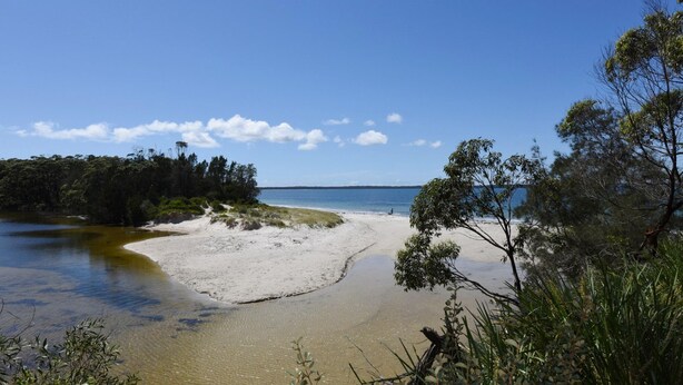 Ein Strand mit klarem Wasser, sandigem Ufer und dichter Baumvegetation.