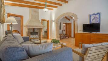 Televisie, een open haard, een dvd-speler en boeken