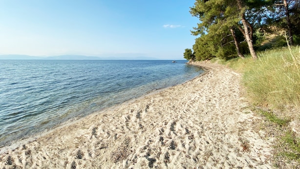 A sandy beach with clear water, trees, and a distant shoreline. - SunBlue Villa Modern Private Pool (thasos)