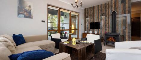 TV, fireplace, books