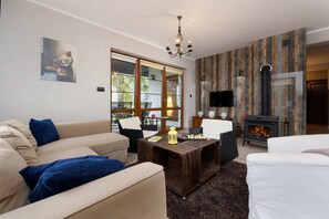 TV, fireplace, books