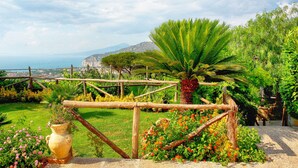 Ein Garten mit Holzzaun, einer Palme und Blick aufs Meer.