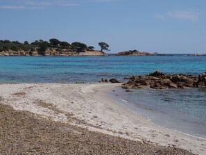 Plage, chaises longues